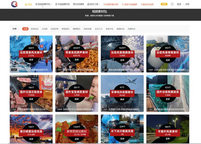 18成年片免费视频网站