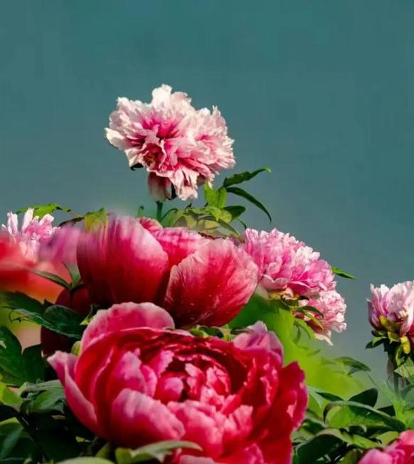 国色天香在线视频免费观看下载