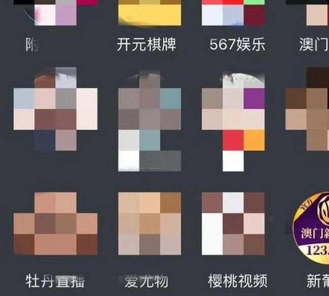 十八款禁用软件的app黄台苹果版