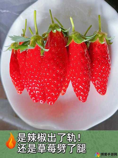 草莓丝瓜芭乐樱桃秋葵小蝌蚪榴莲幸福宝