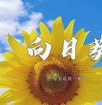 XRK1_3_0ARK向日葵无限下载