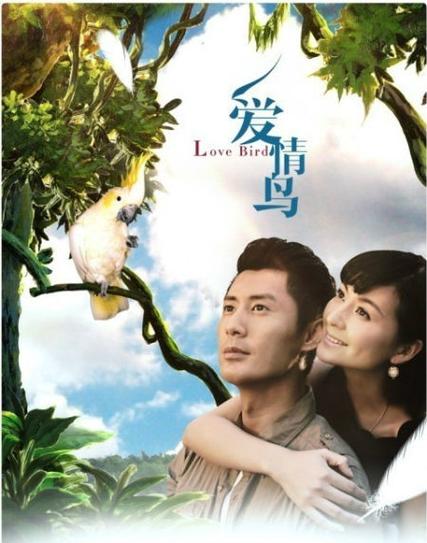 爱情鸟视频资源在线观看