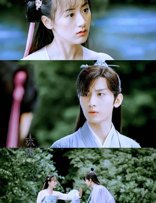 琉璃美免费观看电视剧全集