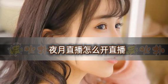 月夜直播app软件