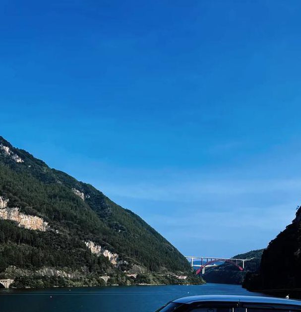 雨燕直播免费版