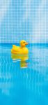 小黄鸭视频