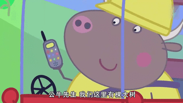 小猪视频网址进入18