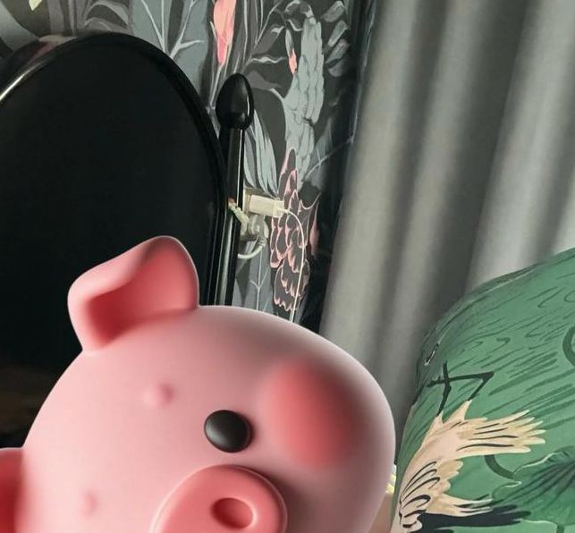 小猪视频网址进入18