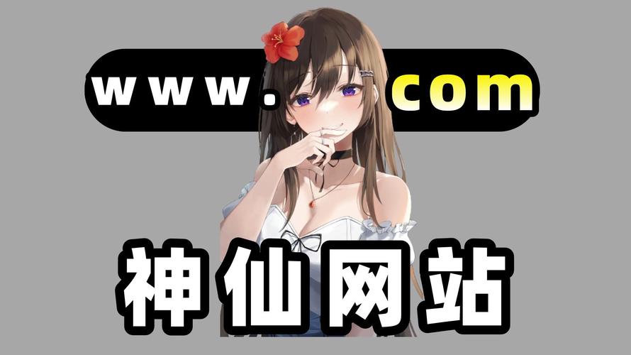 免费午夜理论不卡