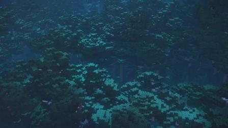 我的世界1.2.6.55