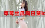 丝瓜草莓秋葵污下载旧版APP大全