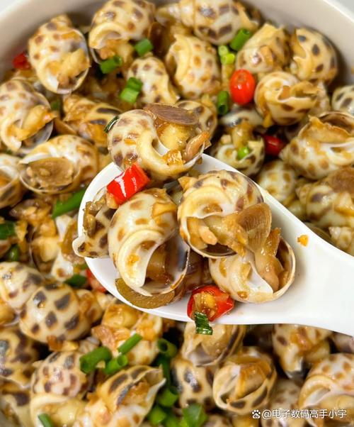 小花螺直播高清版