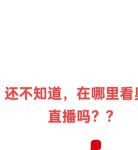 中国人视频免费播放