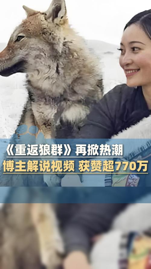 狼群社区视频在线播放完整版