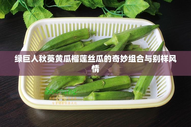 秋葵 草莓 丝瓜 黄瓜 榴莲绿巨人免费版