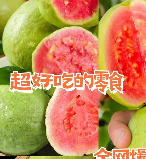 草莓芭乐丝瓜秋葵幸福宝