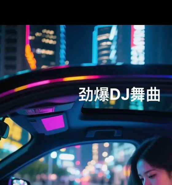 午夜dj视频无限版