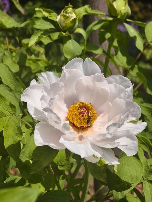 国色天香视频安卓版