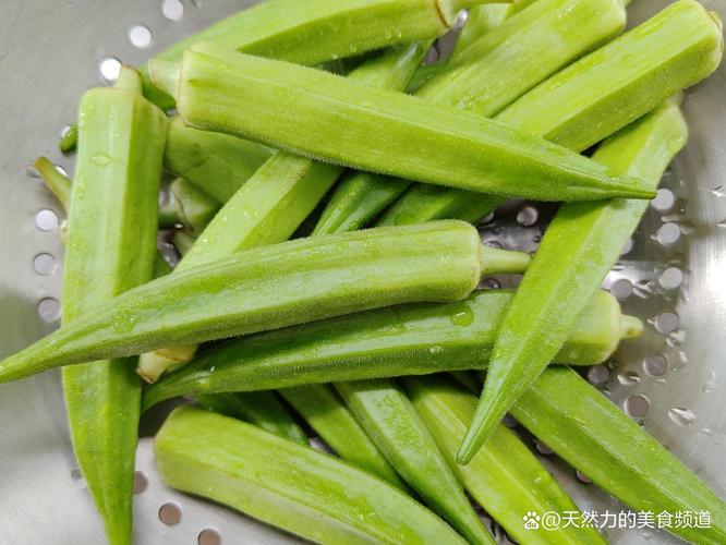 秋葵小蝌蚪榴莲富二代无限制