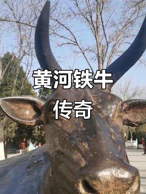 铁牛高清视频在线