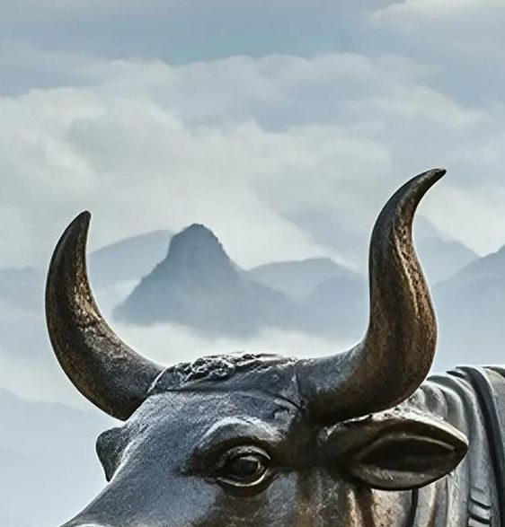 铁牛高清视频在线