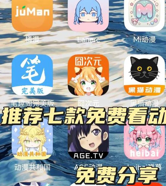 51禁漫成长人版安装