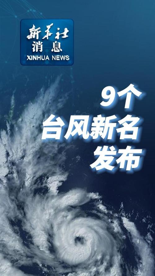 台风视频免广告版