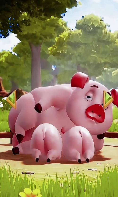 小猪在线无限看